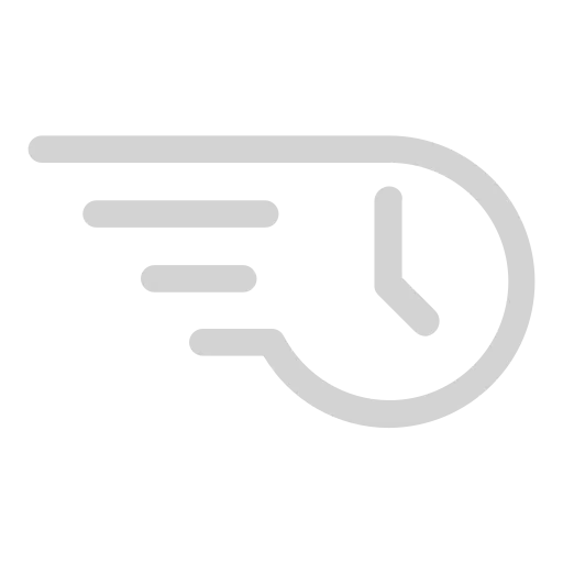 Fast icon