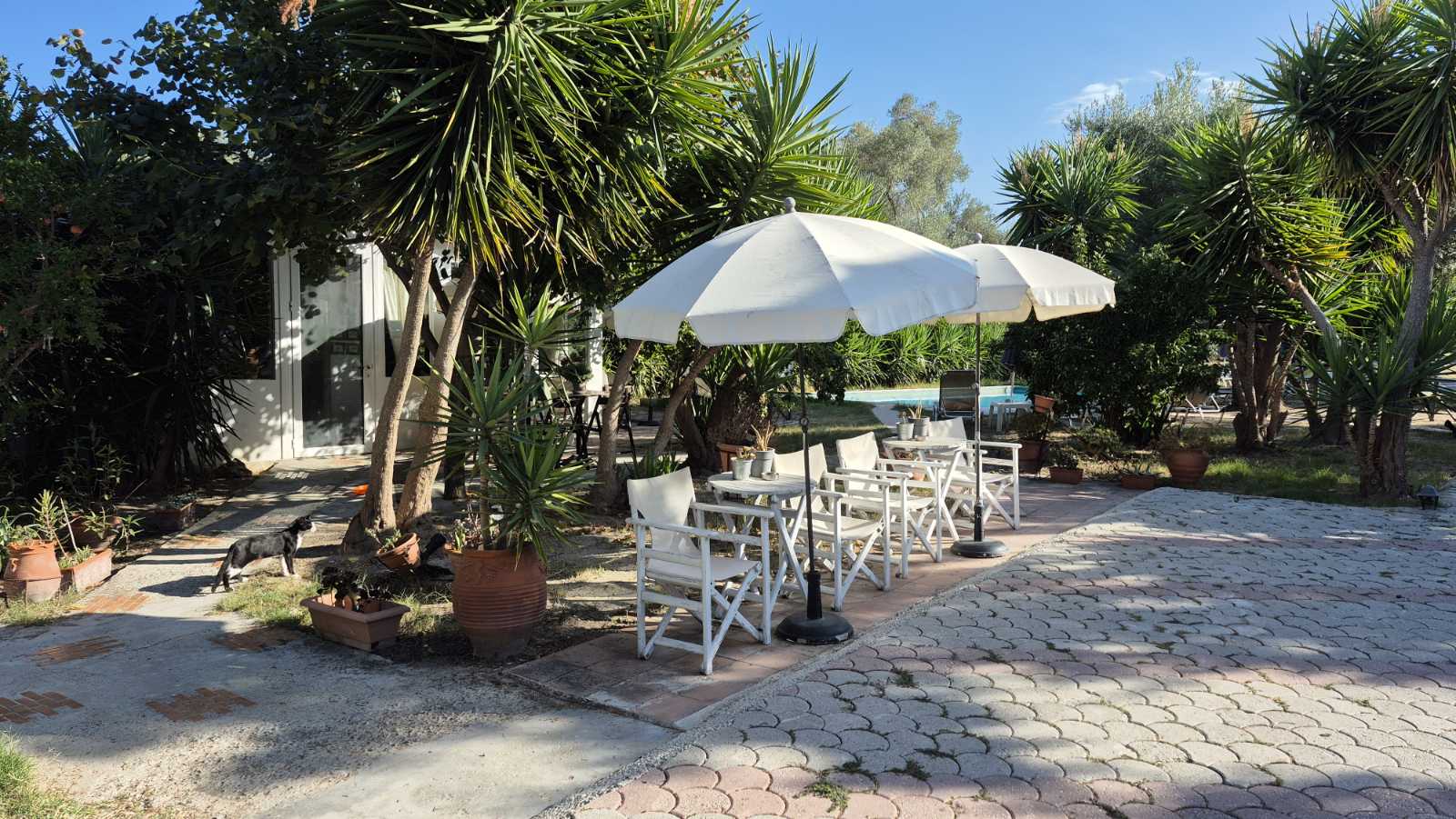 Vila Alexandros Garden