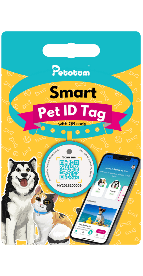 Digital pet id tag best sale