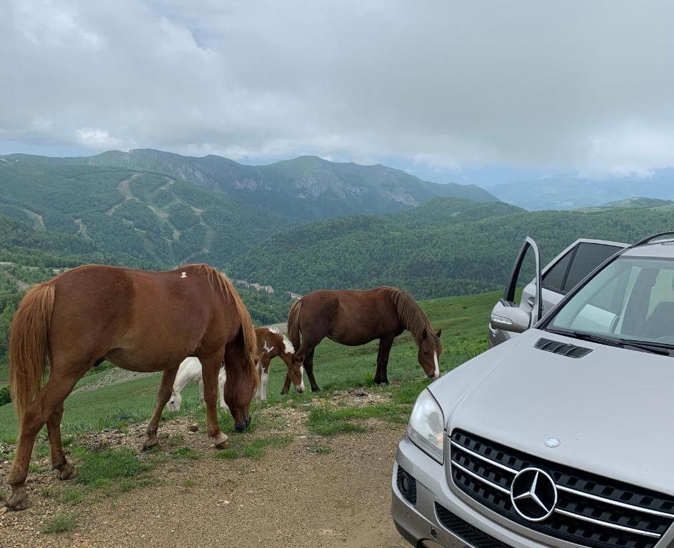 Chalet Kolašin