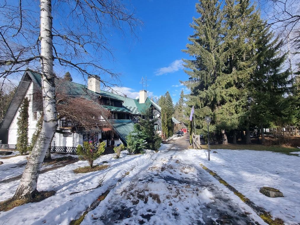 Breza Borovets