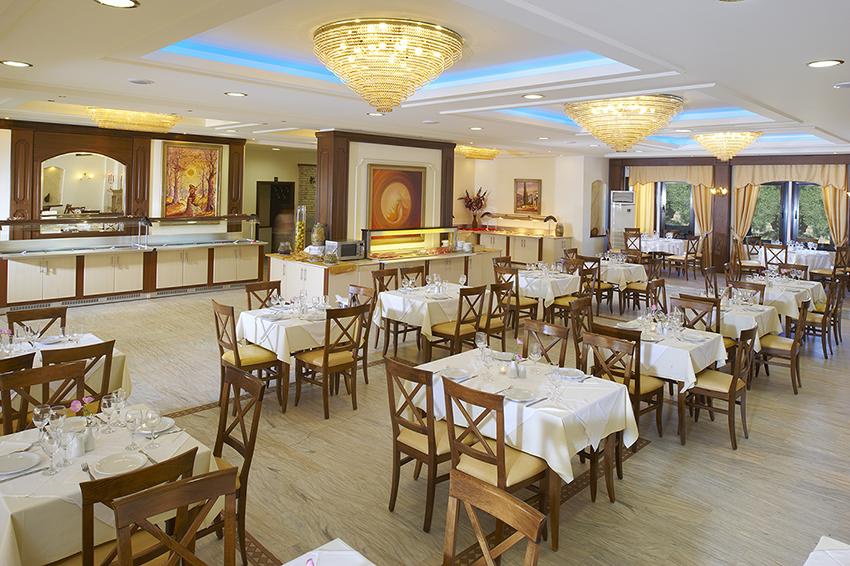Hotel Chrousso Village