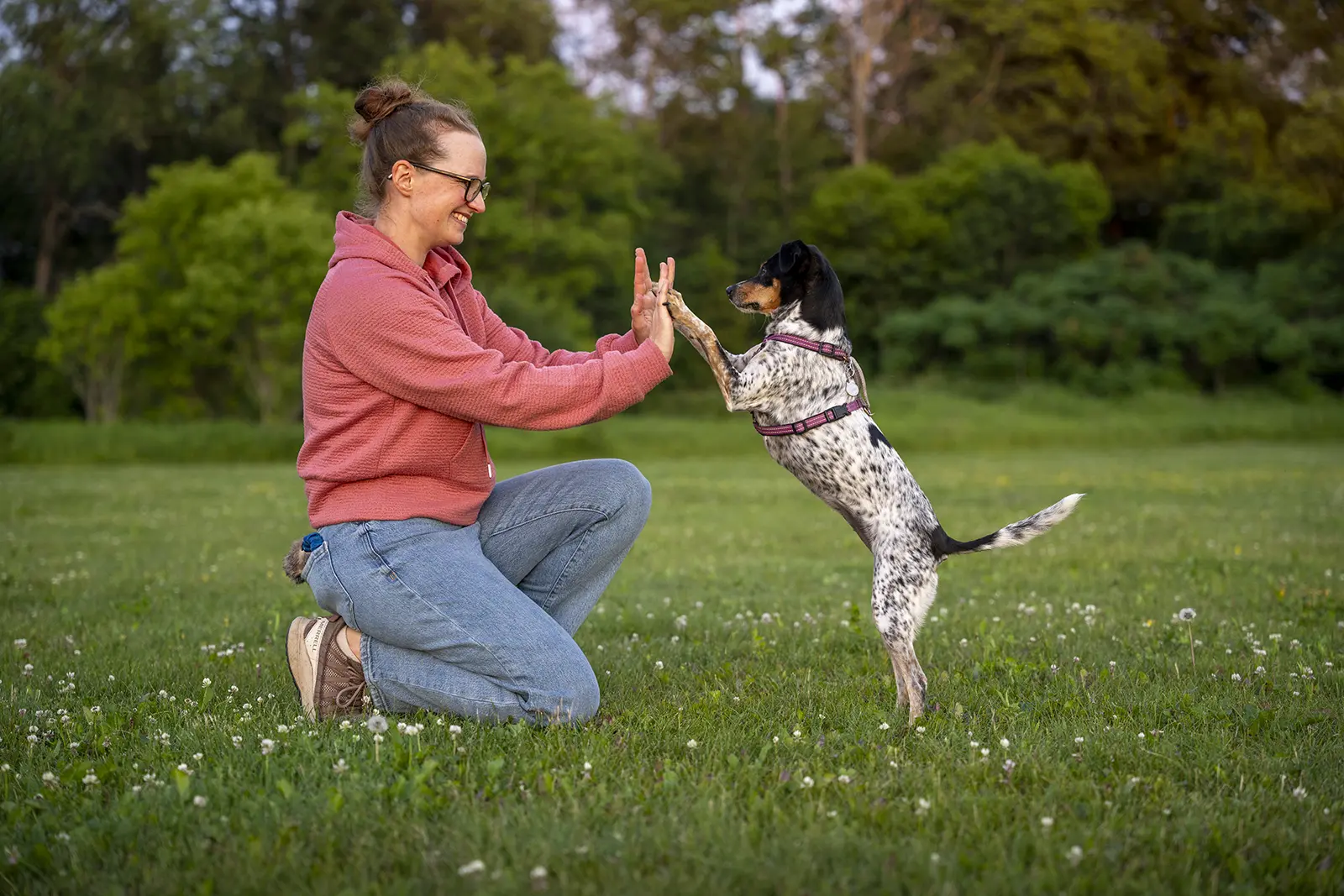 Woman in a pink hoodie and jeans kneeling in a grassy park while training a black-and-white spotted dog to high-five.