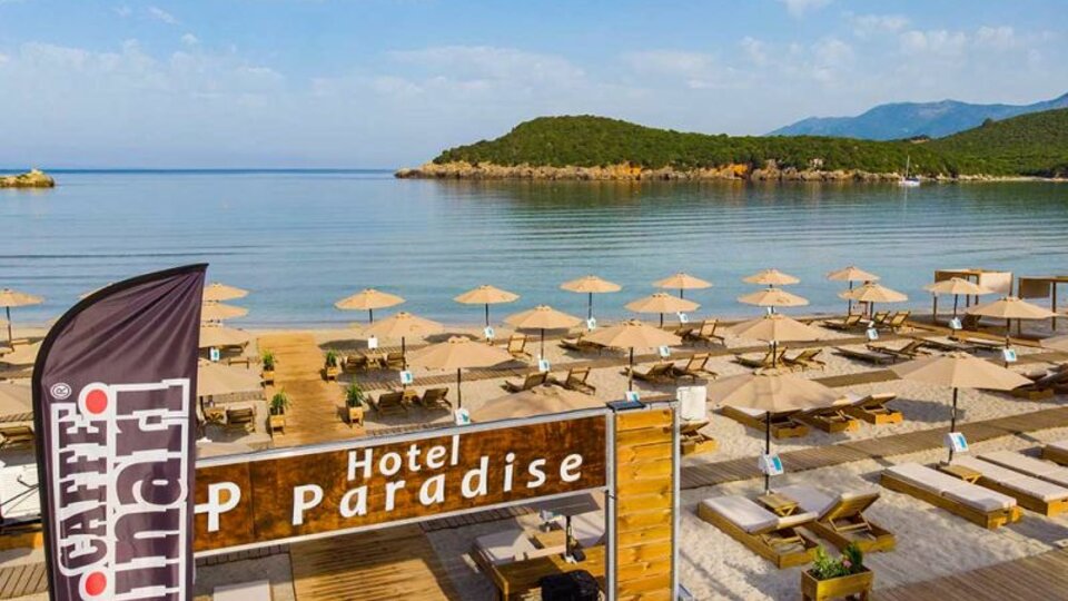 Paradise Zeus