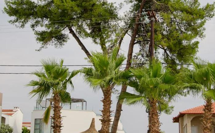 Hotel Hanioti Melathron