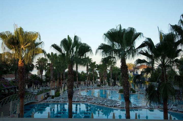 Trendy Palm Beach Adults Only +16