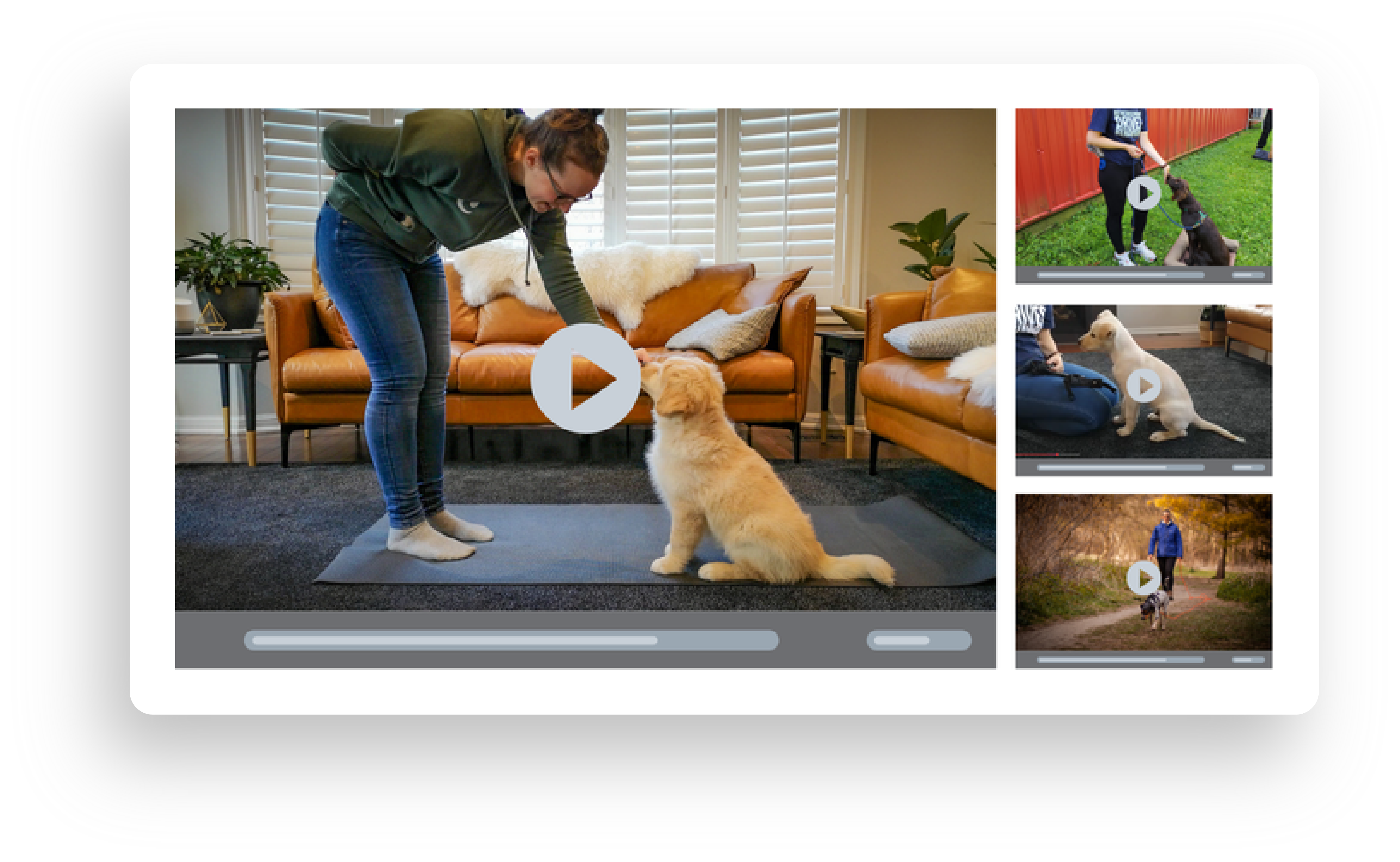 Preview of the Cued Canines video tutorial collection