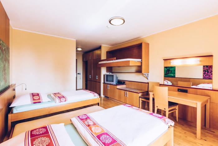 Videc Forest Hotel