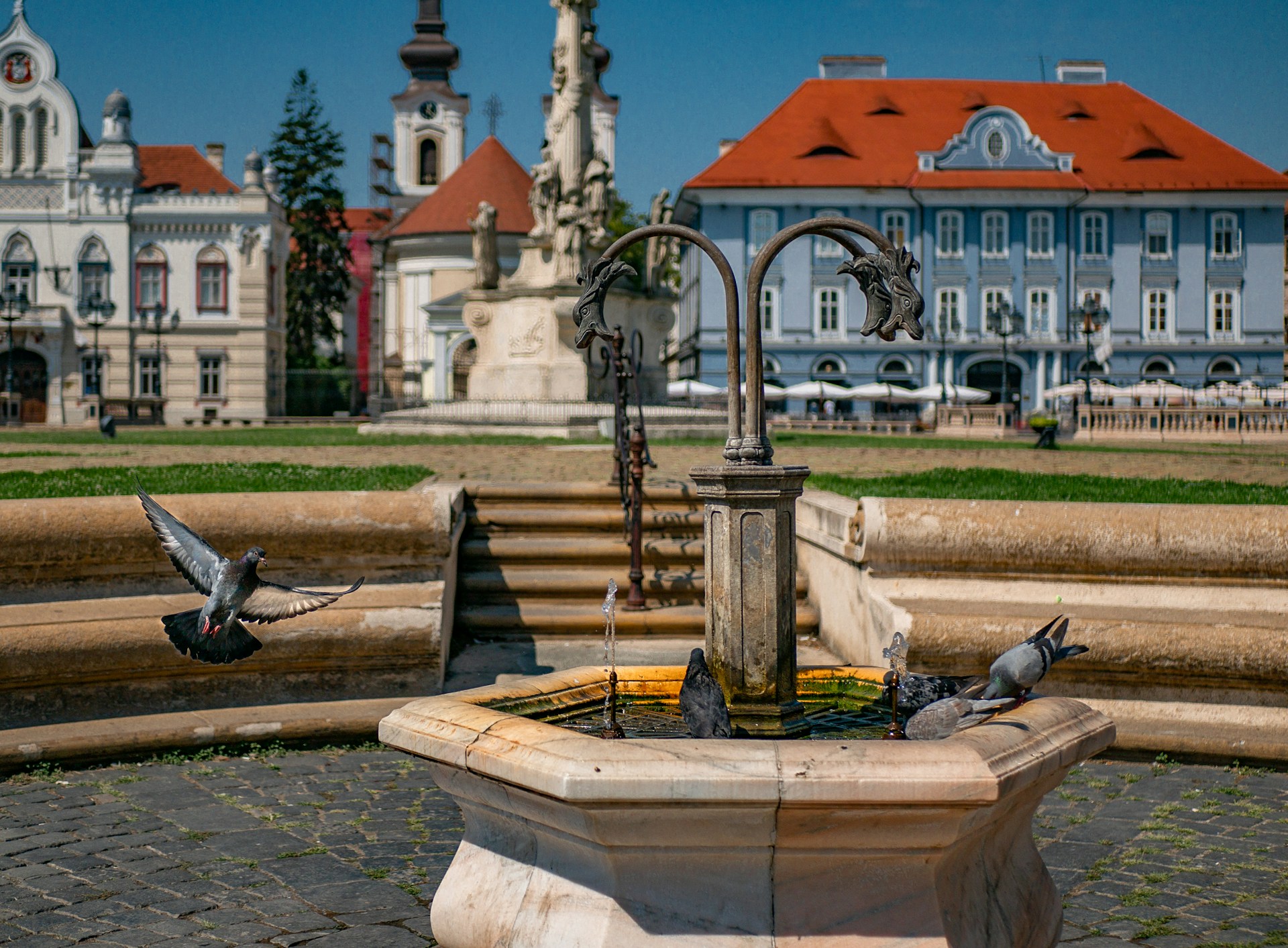 Temišvar