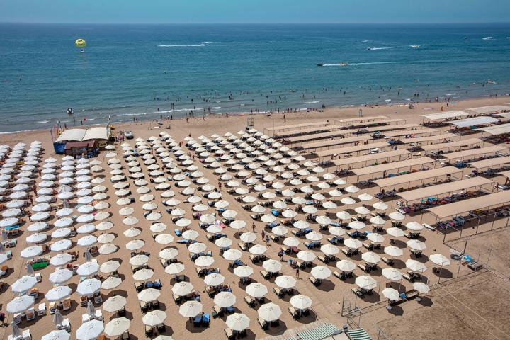 Trendy Verbena Beach