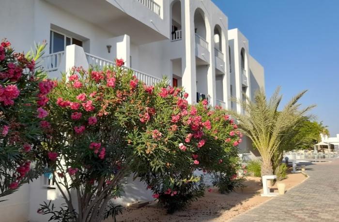 Meninx Resort Spa & Aqua Park