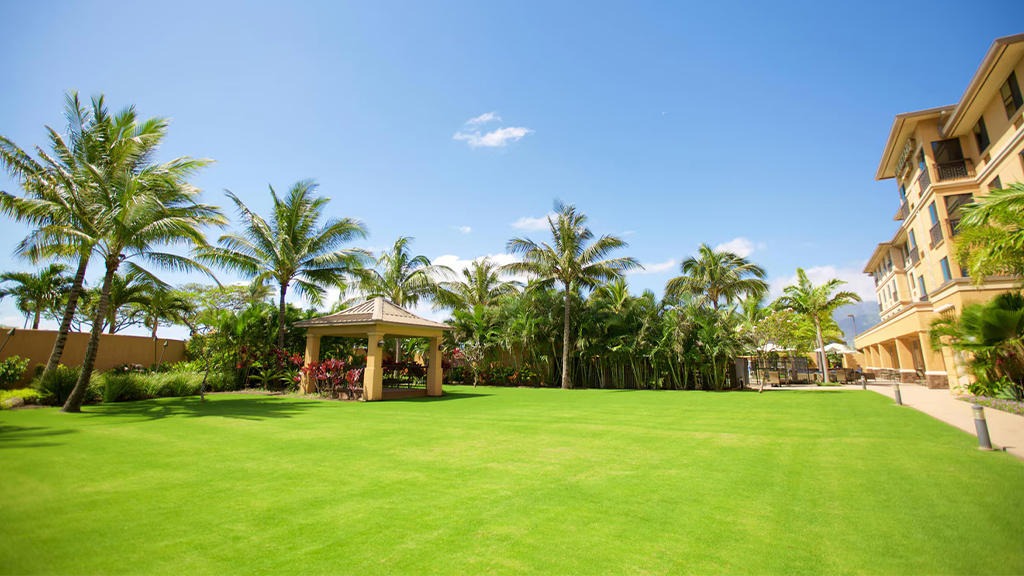 Courtyard Maui Kahului Airport