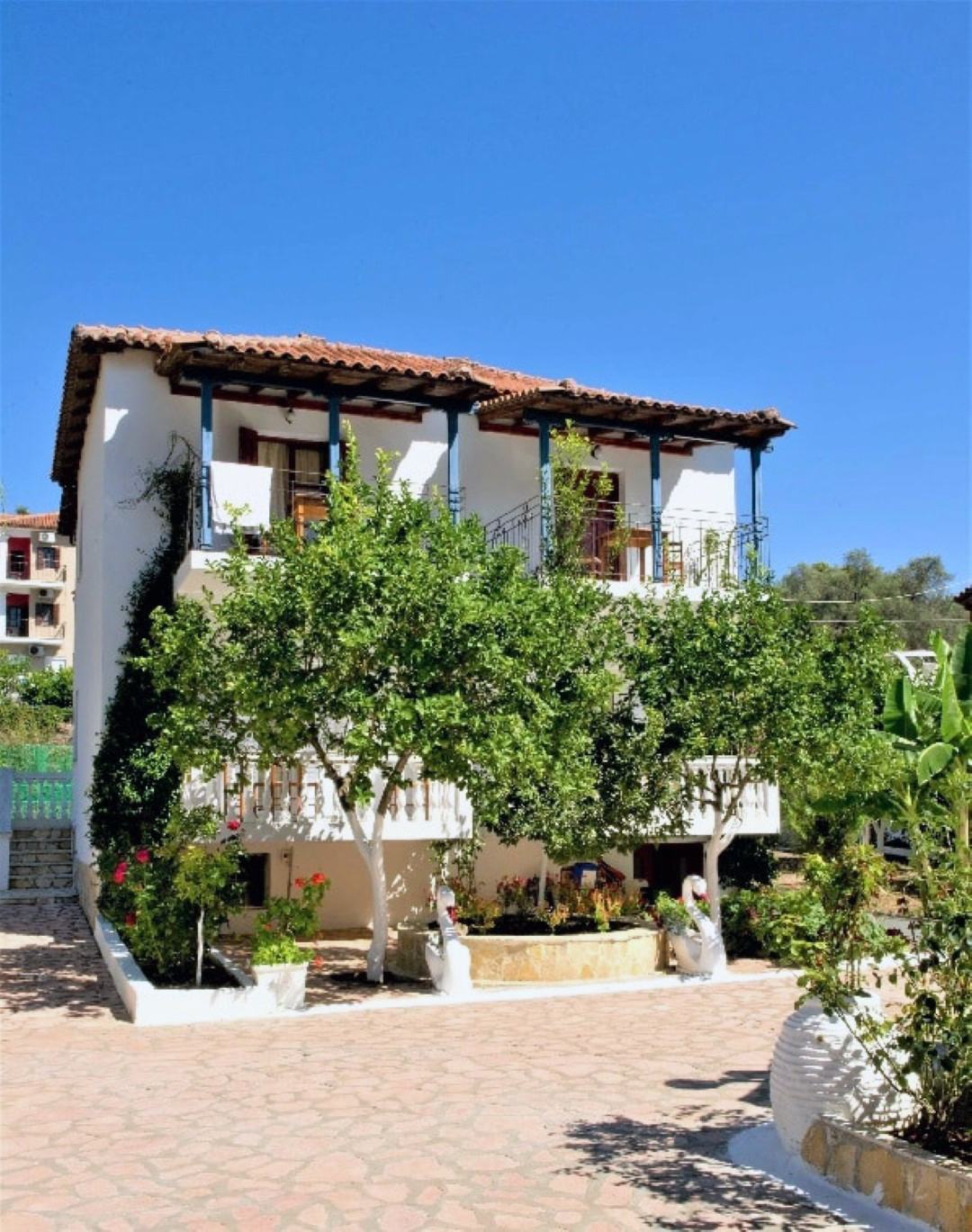 Vila Olive Tree