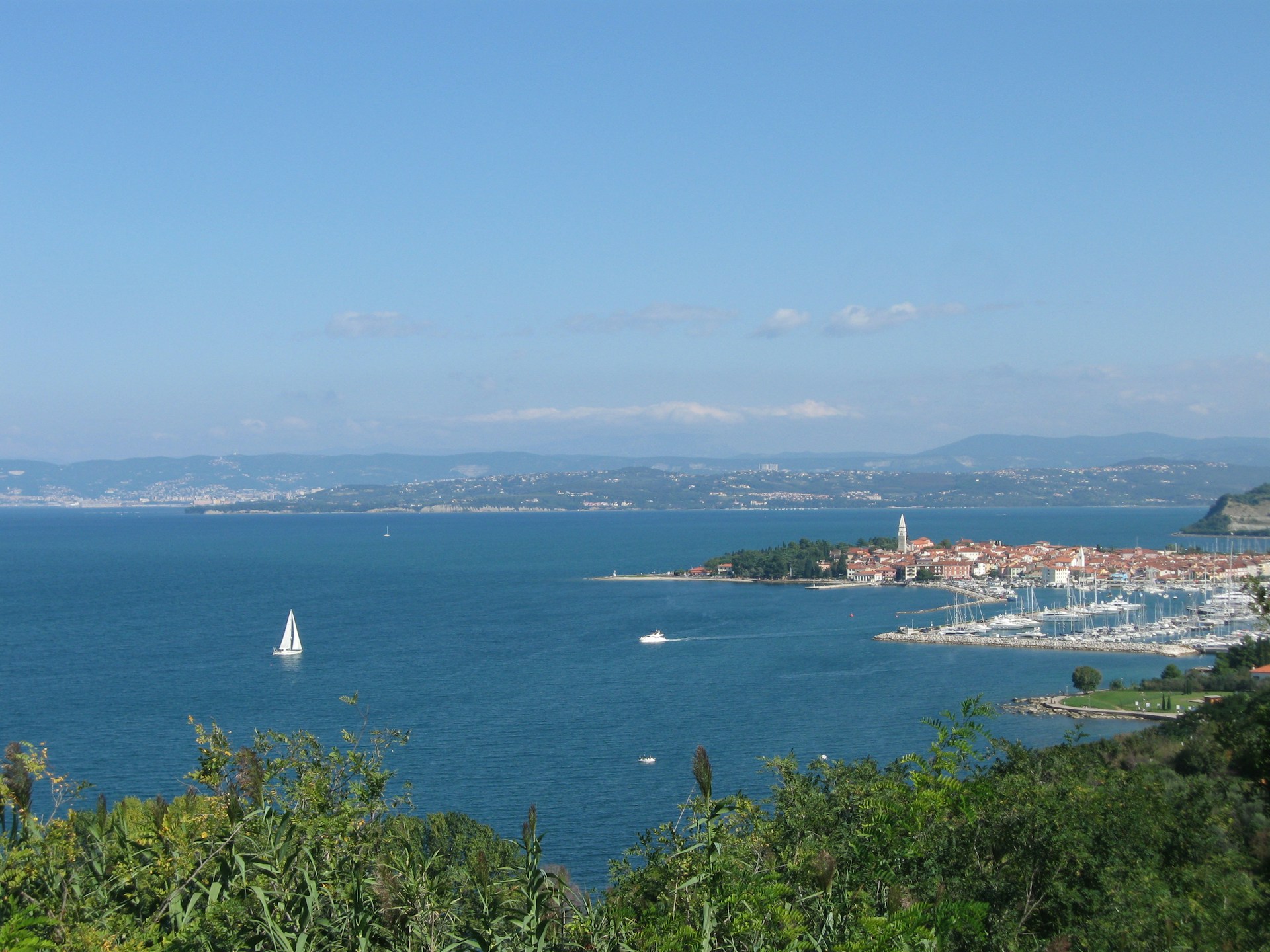 Izola