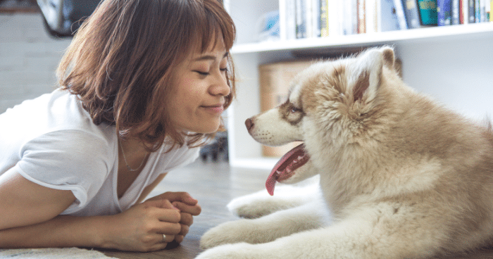 Pet Industry Trends In Malaysia