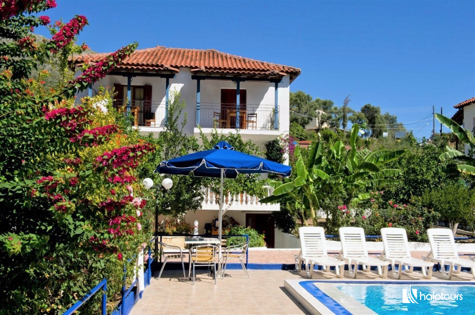 Vila Olive Tree