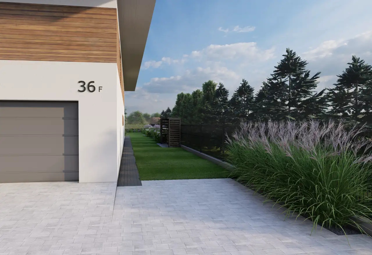 Tall ornamental grasses providing natural privacy screening between neighboring properties in contemporary landscape