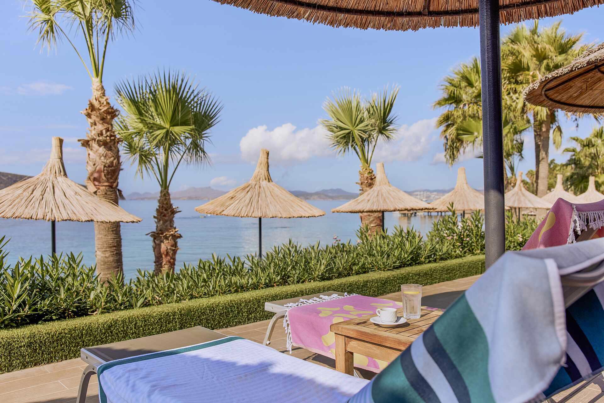Tui Magic Life Bodrum +16