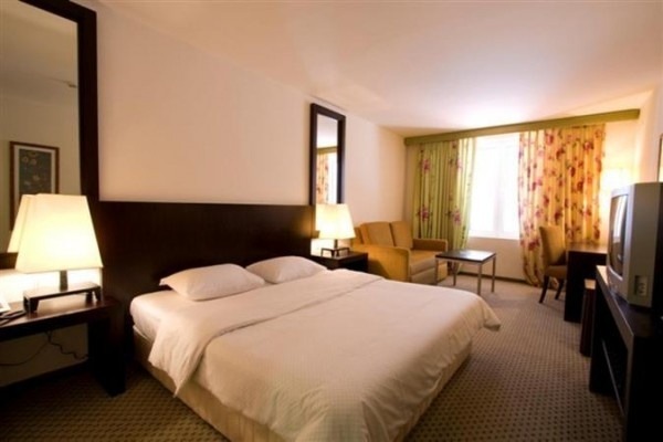 Hotel International
