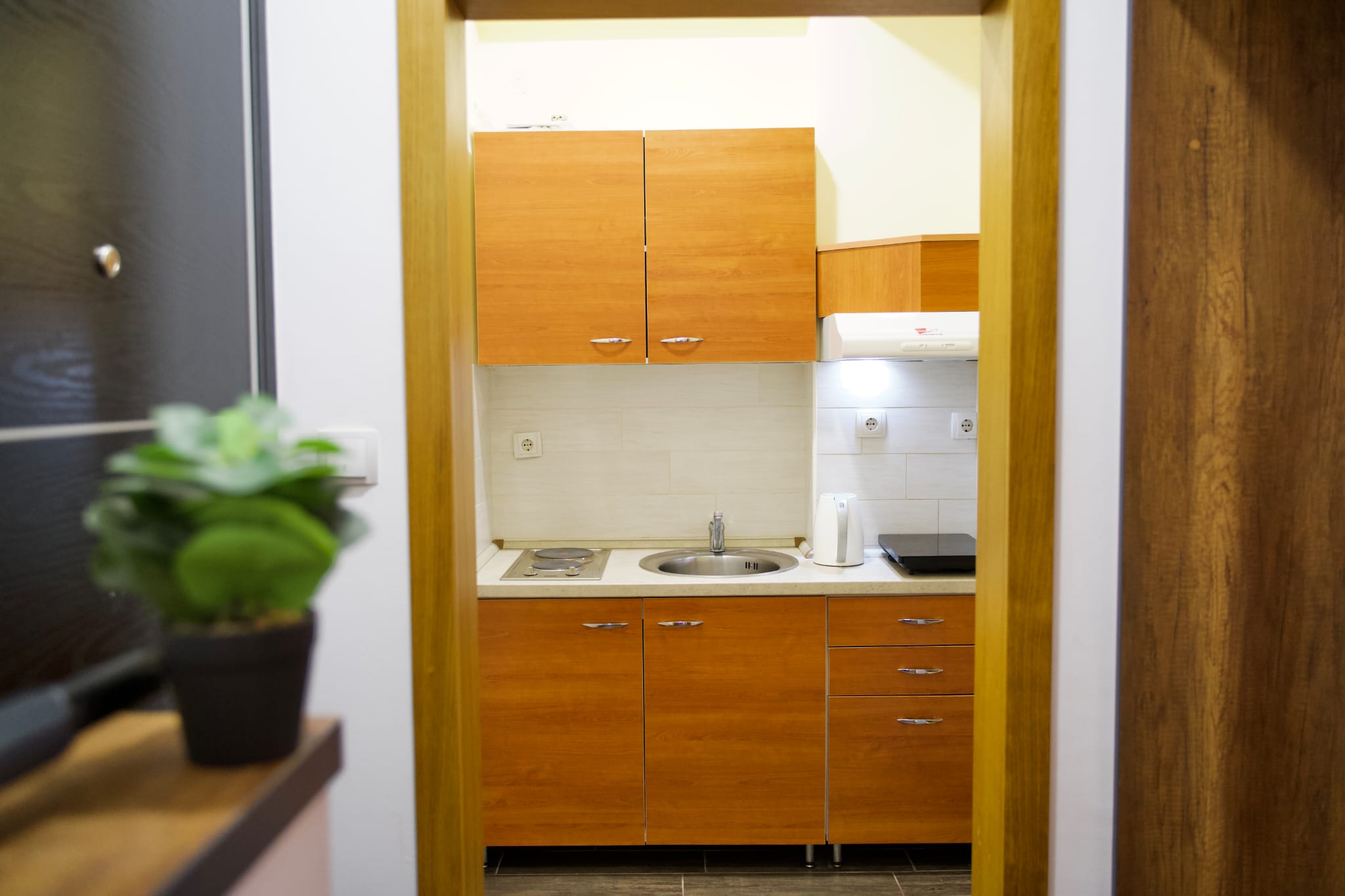 Sunčani apartmani - Apartman VIK