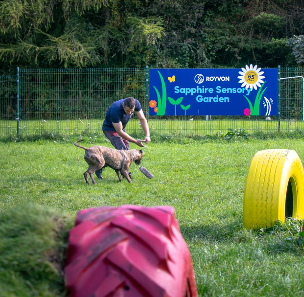 A trusted dog trainer plays fetch with a brown dog on green grass in front of a "Sapphire Sensory Garden" sign, with large colorful tires nearby and trees in the background.