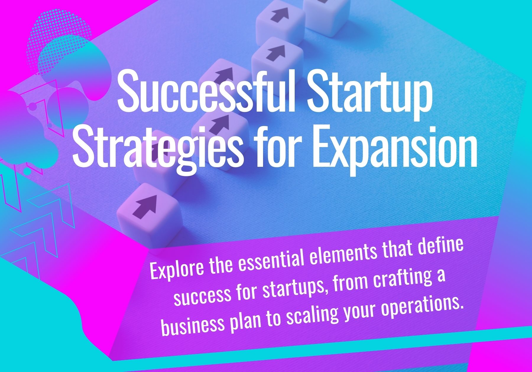 Successful Startup Strategies for Expansion