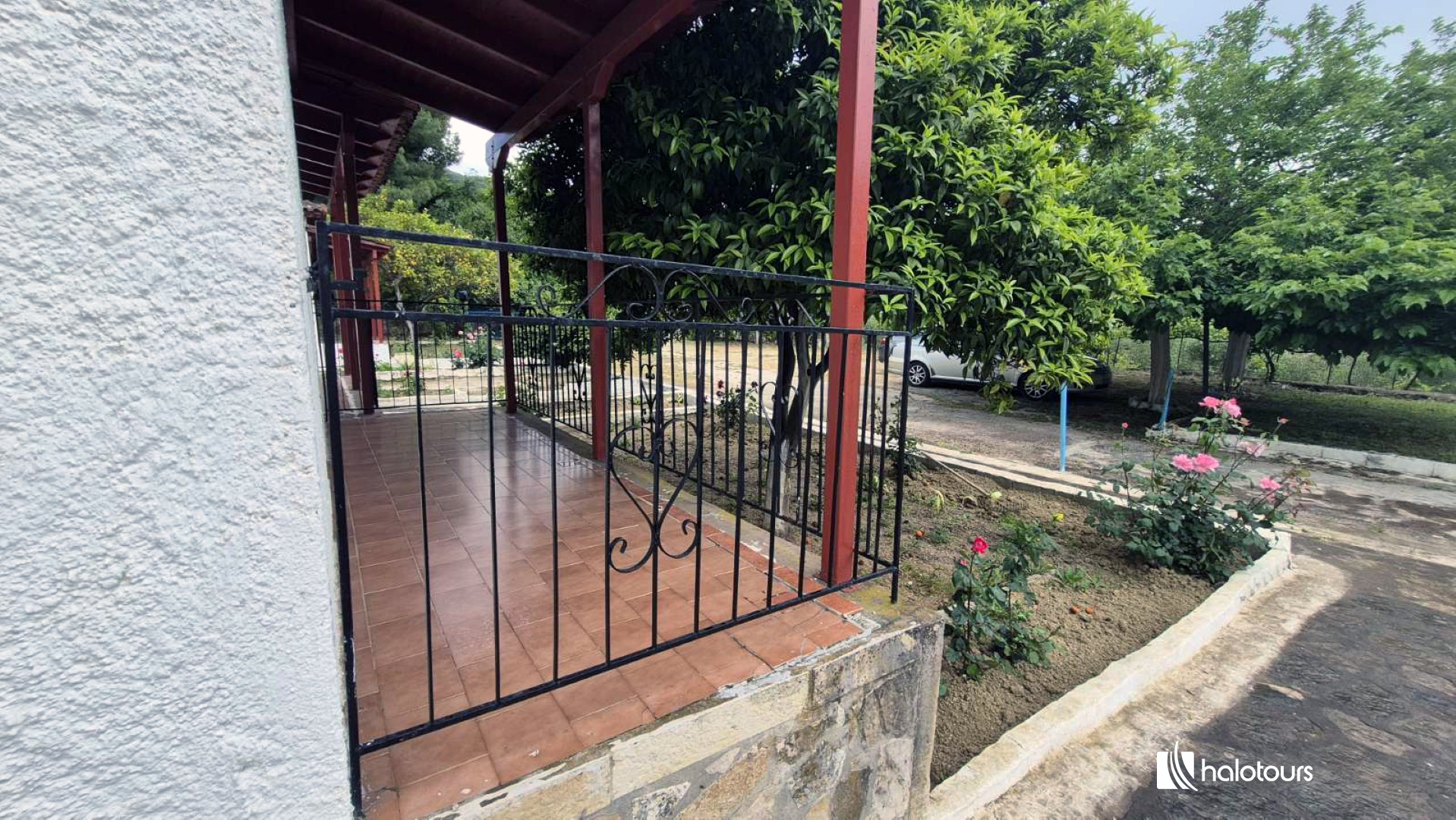 Vila Olive Tree