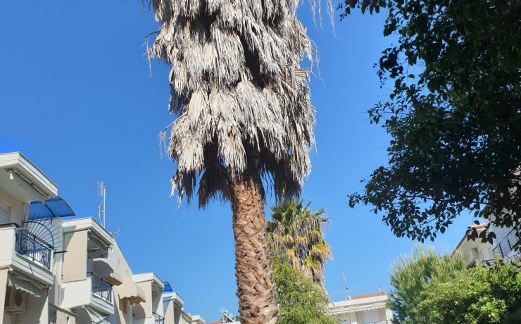 Vila Sunny Days