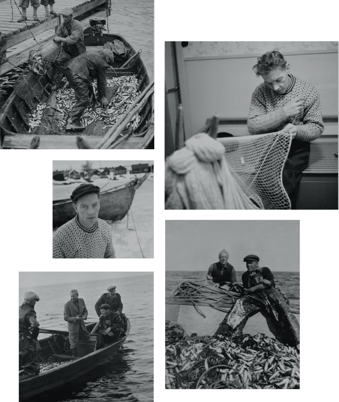 Collage of Otto Sillman in action