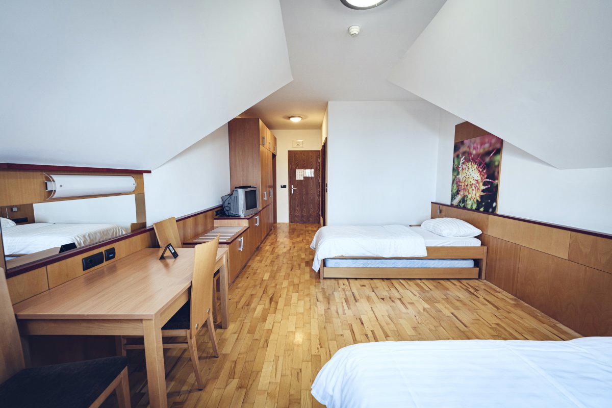 Videc Forest Hotel