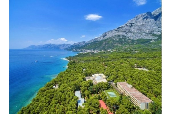 Hotel Alem